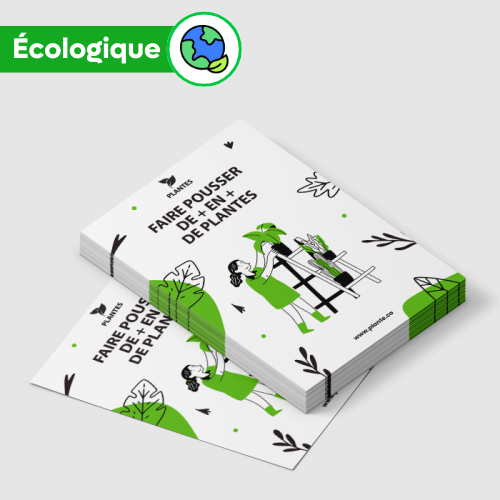 Flyers en papier recyclé