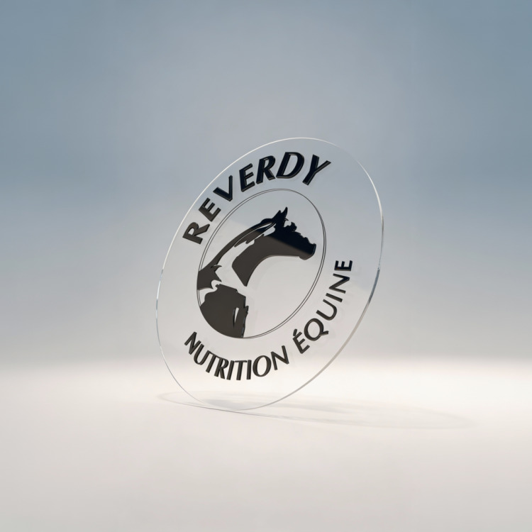 Logo et lettrage en plexiglass