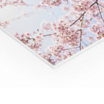 Plexiglas diffusant 3mm