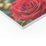 Plexiglas diffusant 5mm