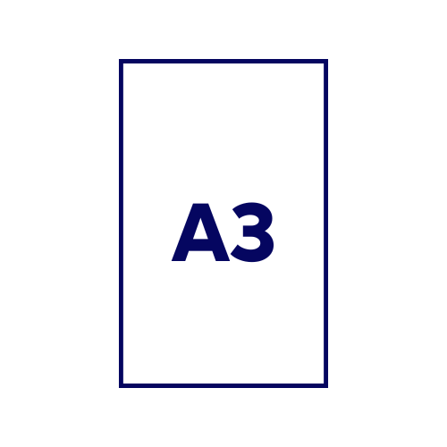 A3